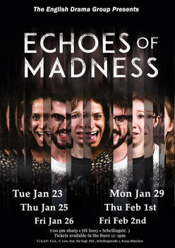 Echoes of Madness Advertisement Poster
