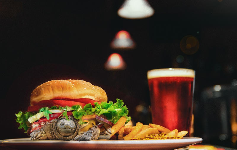Turtle Burger by AmateurArtistArts on DeviantArt