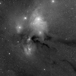 Rho Ophiuchus Project - WIP