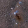 Reflection and Dark Nebulae in Corona Australis