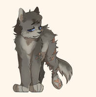 Cinderpelt - WOTW