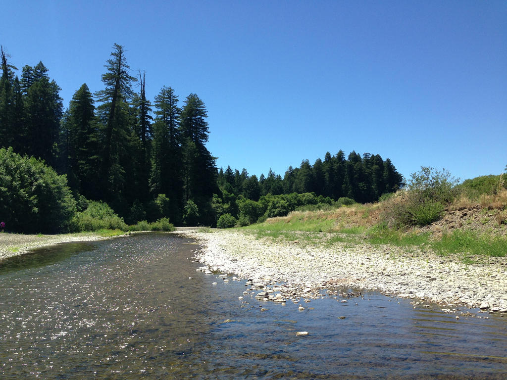 Hendy Woods State Park, Navarro River