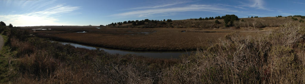 Point Reyes Renderman Point Reyes NS by TutorVeritatis on DeviantArt
