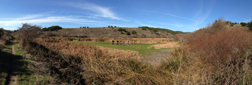 Point Reyes Drawing Point Reyes NS by TutorVeritatis on DeviantArt