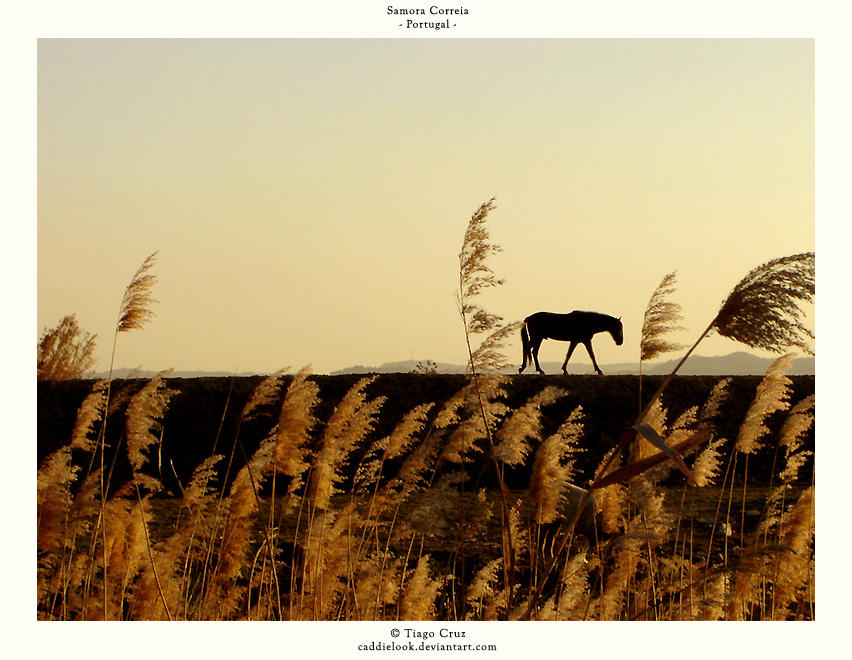 Around My Town - Alone