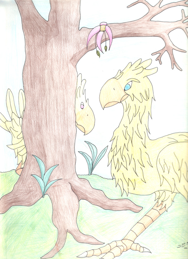 Wild Chocobo's