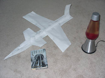 Giant Paper Aeroplane