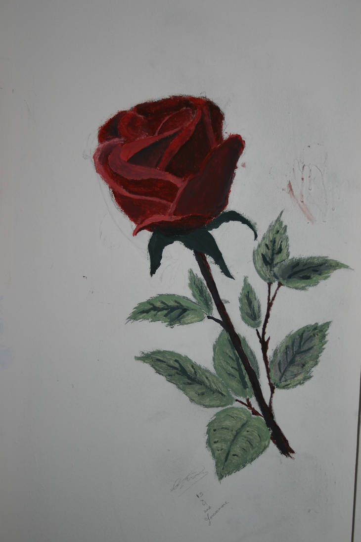 Rose wall painting by designbyart on DeviantArt
