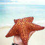 Sea Star - 3