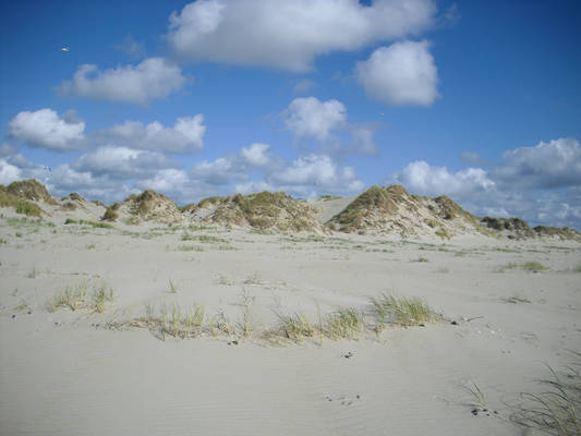 Bright dunes background 2