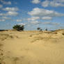 Bright dunes background 5