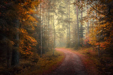 Autumn serenity by m-eralp