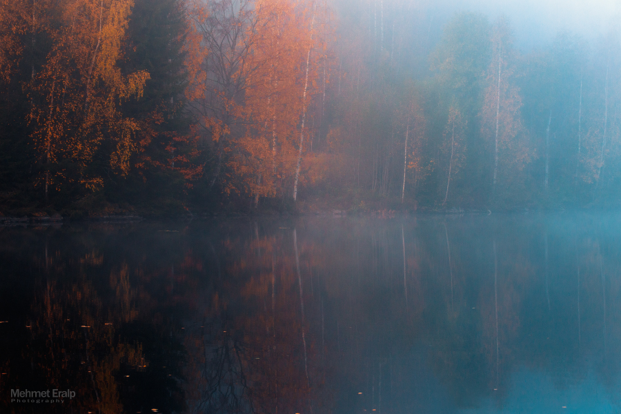 Mirrored autumn