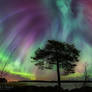 Auroral Fireworks