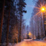 The magic road