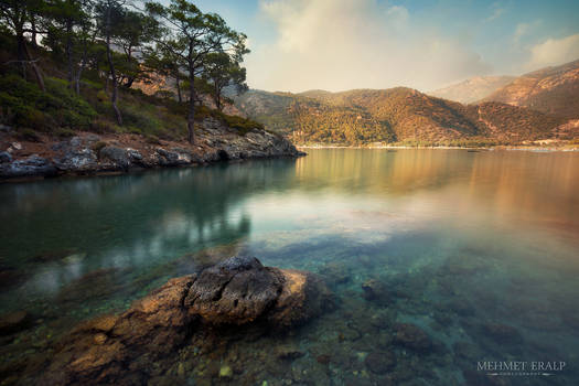 Mediterranean Summer