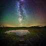 Glowing Night