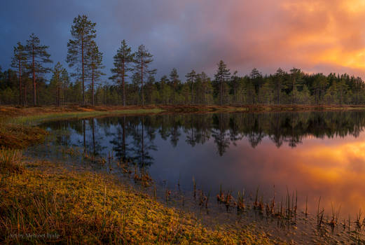 Leivonmaki National Park