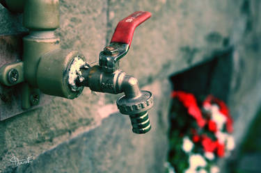 Water Valve