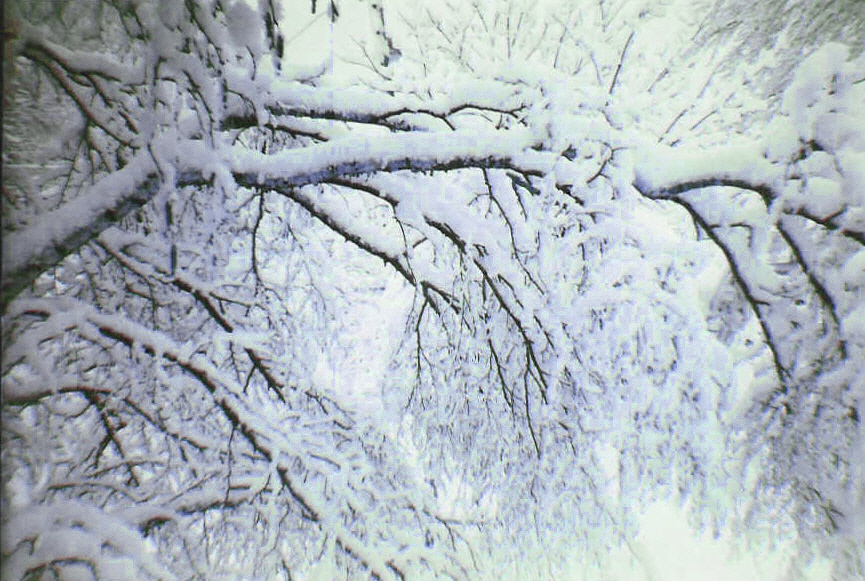 snow storm by darqanjell on DeviantArt