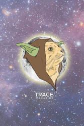 Trace Magazine Yodacat Promo