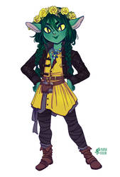 new nott design