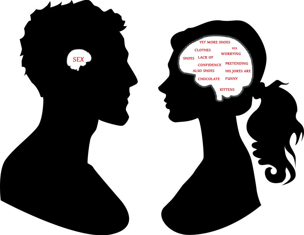 Male Brain vs. Female Brain by Ziboetes on DeviantArt