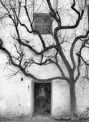 Tentacoli by tortagel Tentacoli by tortagel