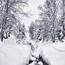 Neve