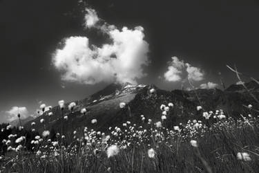 How Clouds Are Born 1