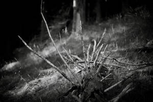 Sora Morte Corporale