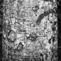 Rune