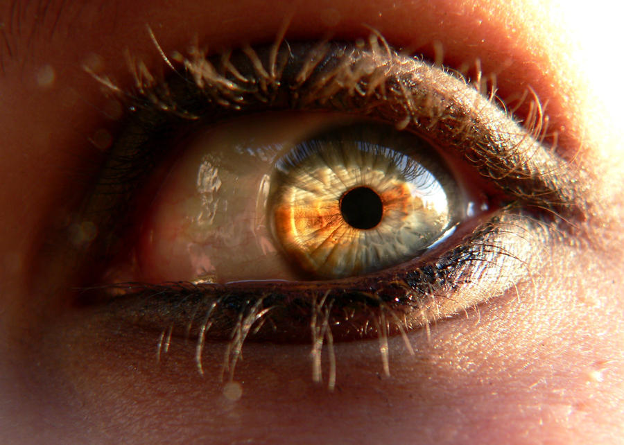 Как сделать гетерохромию глаз в домашних условиях