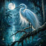 Egret in Bayou 2