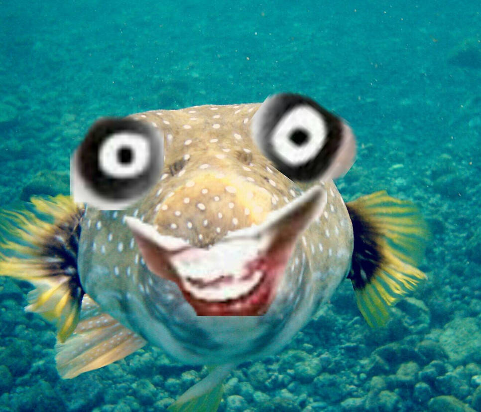 Jeff the fish by StichedandPatched on DeviantArt
