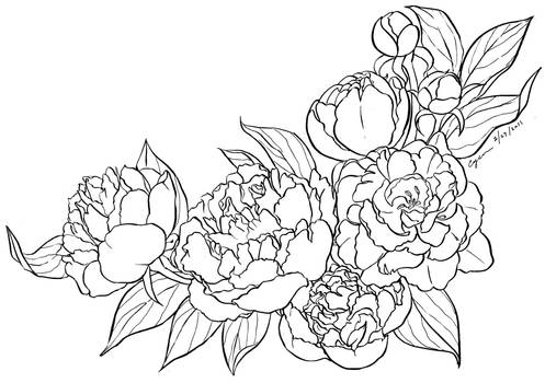 Peony Lineart