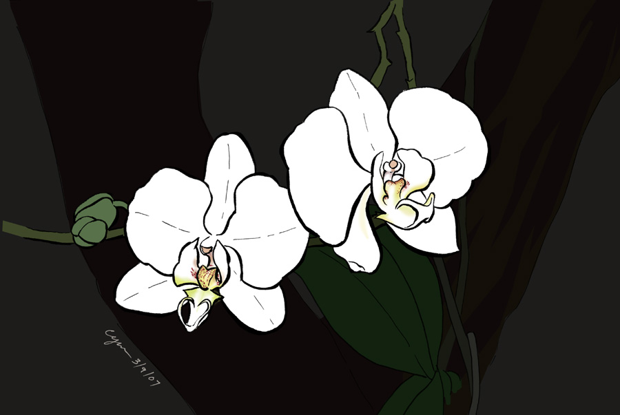 White on Black by cyen