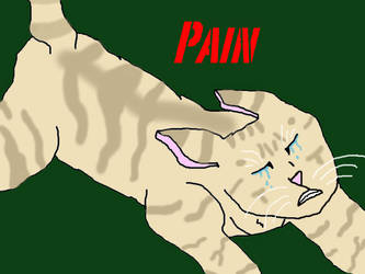 Pain