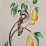 PARTRIDGE IN A PEAR TREE