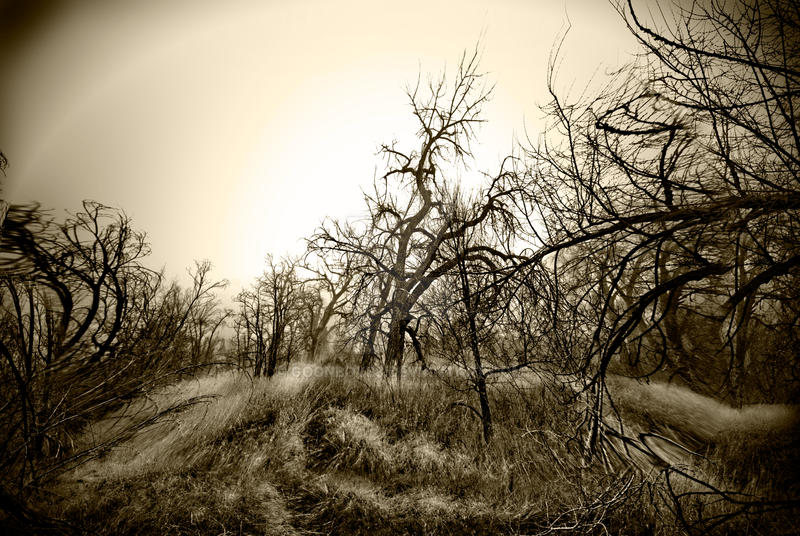 Autumn Falls Dead by GoonBoy88 on DeviantArt