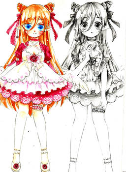 Amaryllis Belladonna