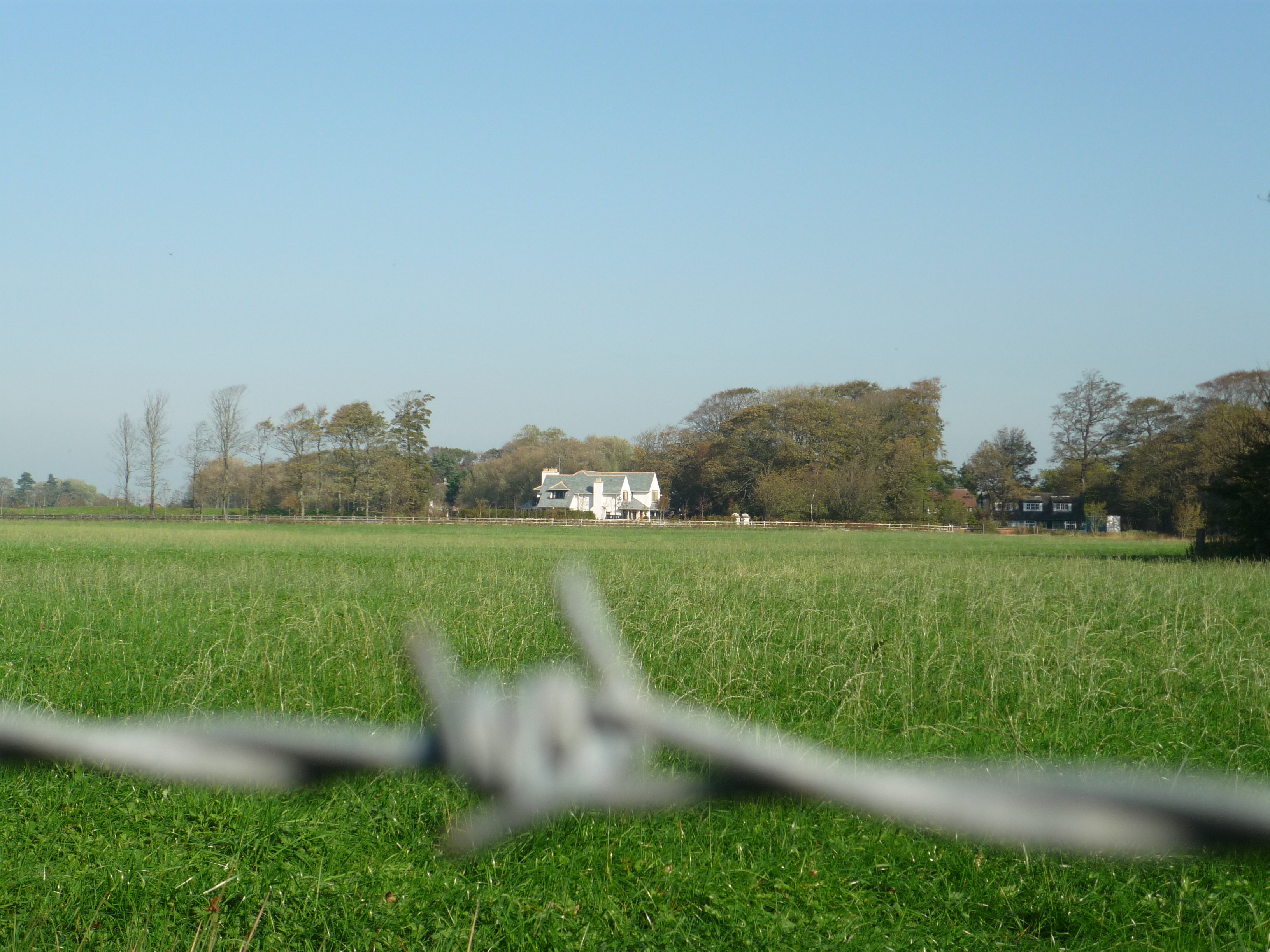 Fenced off Field