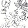 Doodle - Sonic Gang