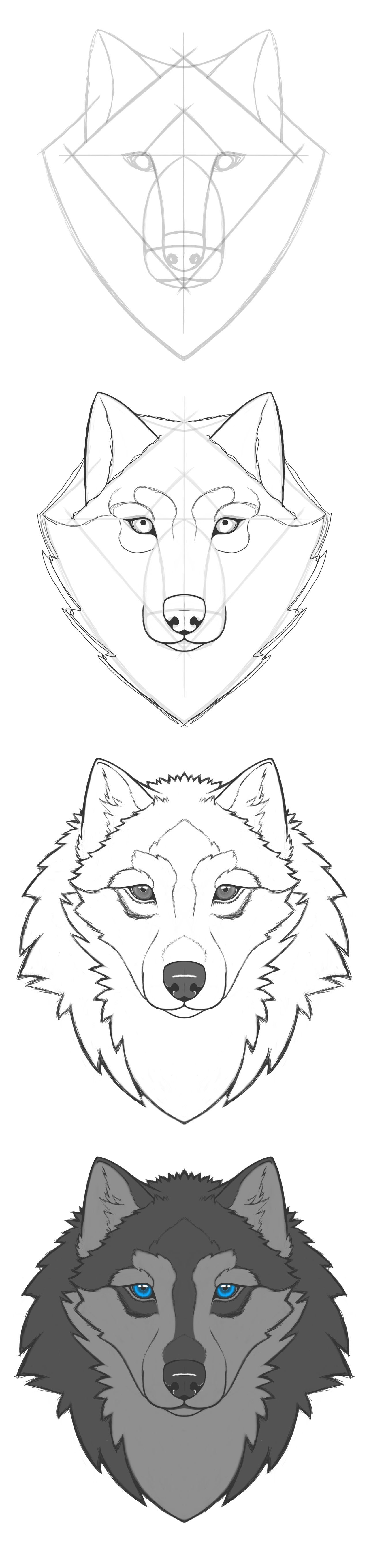 dA Tutorial - How to draw a WOLF by Kimmi-suTT on DeviantArt