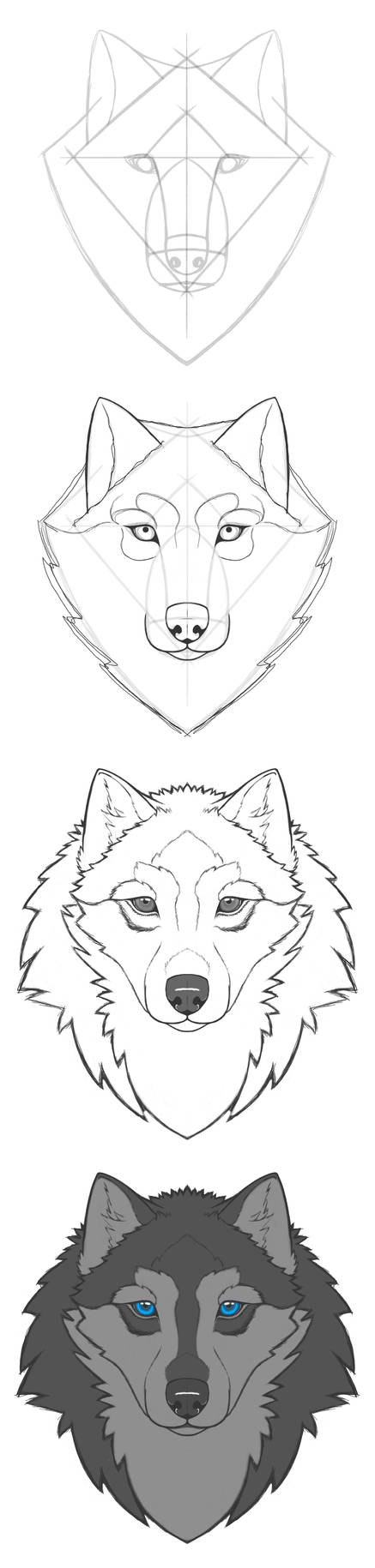 dA Tutorial - How to draw a WOLF by Kimmi-suTT on DeviantArt