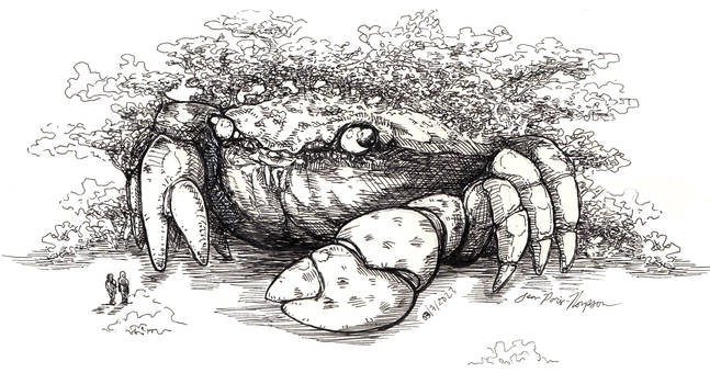 The Old Growth Crab