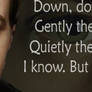 McGee Banner