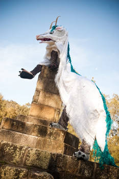 Haku The Dragon