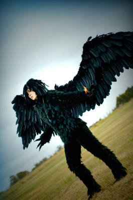 Dark Howl: Inerasable Curse