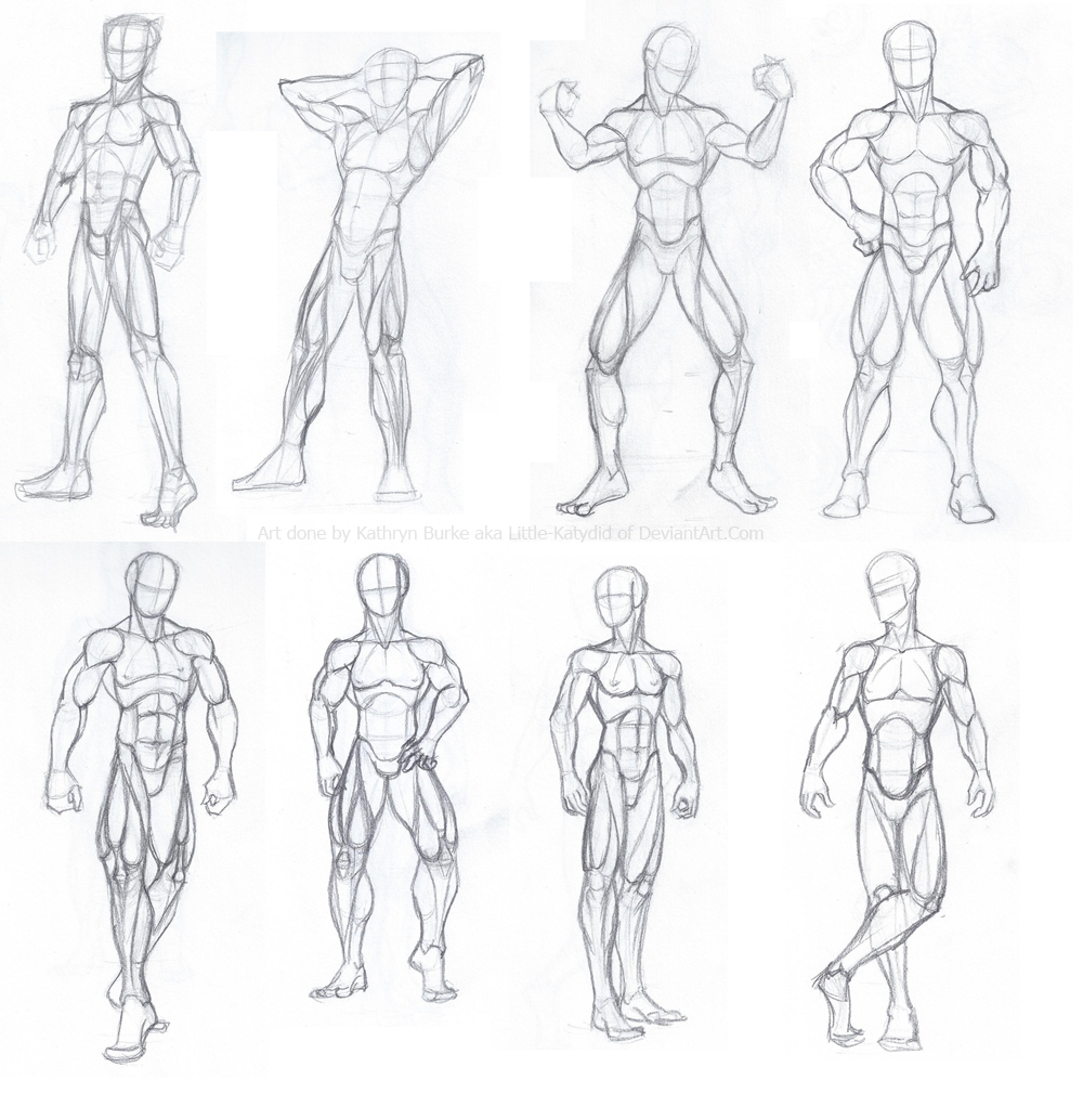 Male Body Studies by Little-Katydid on DeviantArt